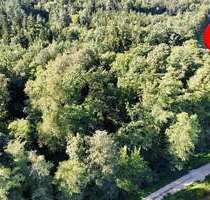 Grundstück in Altdorf 72.800,00 € 11326 m²