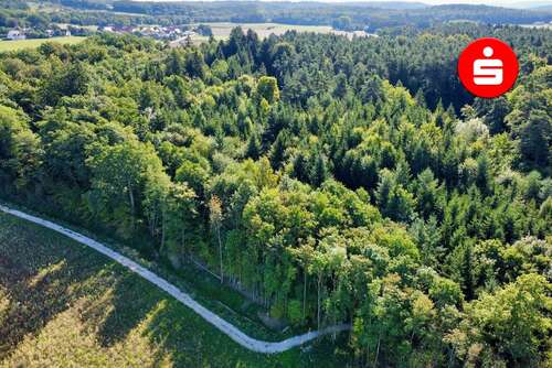 Foto - Grundstück in Altdorf 50.200,00 € 7813 m²