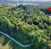 Grundstück in Altdorf 50.200,00 € 7813 m²