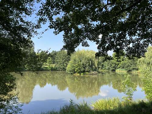 Foto - Wohnung zum Mieten in Zwickau 229,00 € 60 m²