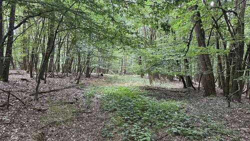Foto - Grundstück in Schwandorf Ettmannsdorf 563.000,00 € 187942 m²