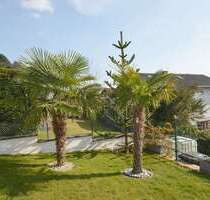 Haus zum Kaufen in Much 349.000,00 € 143 m²