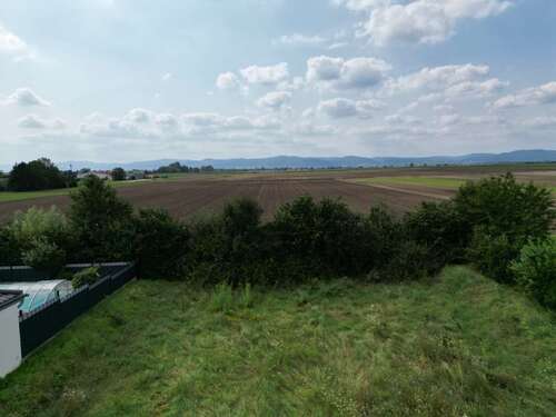 Foto - Grundstück zu verkaufen in Schauernheim 477.000,00 € 600 m²