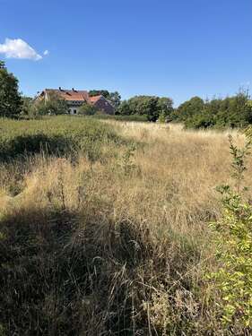 Foto - Haus zum Kaufen in Barsinghausen 492.190,00 € 136 m²