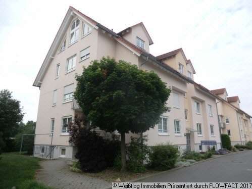 Foto - Wohnung zum Mieten in Riesa 295,00 € 49 m²