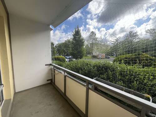 Foto - Wohnung zum Mieten in Zwickau 285,00 € 45 m²