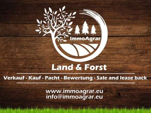 Foto - Grundstück in arneburg 5.019,00 € 20342 m²