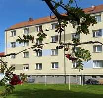 Wohnung zum Mieten in Großröhrsdorf 330,00 € 44.27 m²