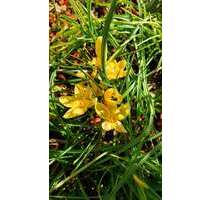 Haus zum Kaufen in Calw-Stammheim 749.000,00 € 130 m²