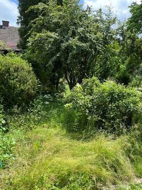 Foto - Grundstück zu verkaufen in Niederpöcking 1.200.000,00 € 450 m²