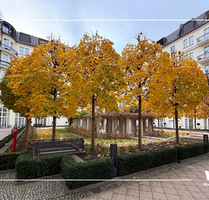 Wohnung zum Kaufen in Berlin 1.149.000,00 € 97 m²