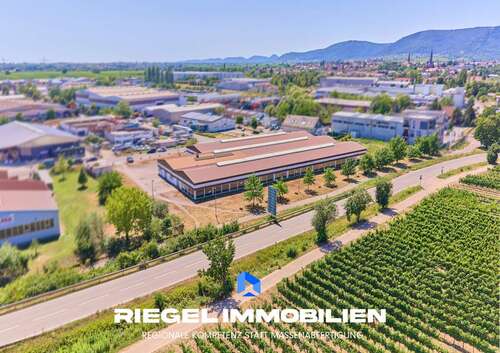 Foto - Halle in Edenkoben 2.900.000,00 € 1 m²