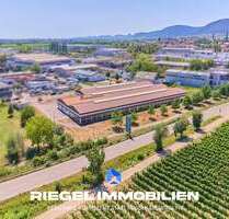 Halle in Edenkoben 2.900.000,00 € 1 m²