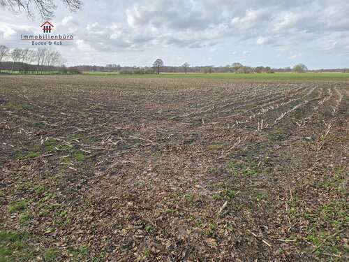 Foto - Grundstück in Friesoythe 55.980,00 € 5598 m²