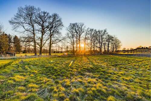 Foto - Grundstück zu verkaufen in Walsrode 110.000,00 € 971 m²