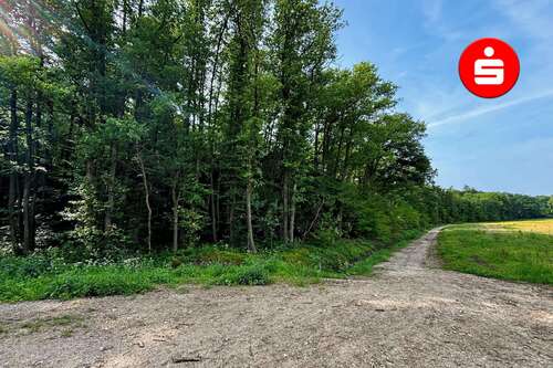 Foto - Grundstück in Altdorf 123.000,00 € 19139 m²