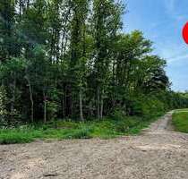 Grundstück in Altdorf 123.000,00 € 19139 m²