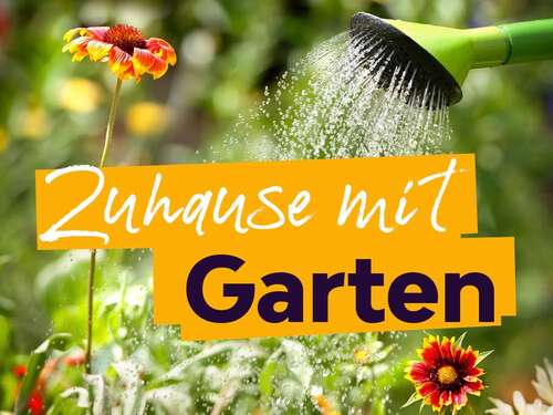Foto - Wohnung zum Mieten in Zwickau 289,00 € 61.2 m²