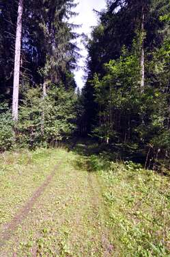Foto - Grundstück in Oberbiberg 139.000,00 € 10700 m²