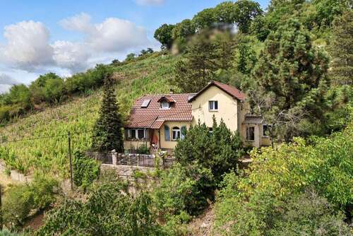 Foto - Haus zum Kaufen in Radebeul 495.000,00 € 140 m²