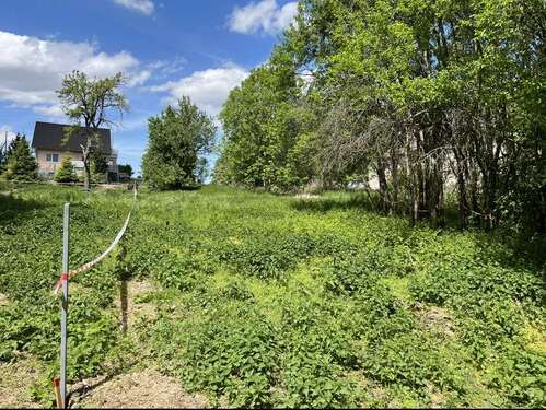 Foto - Grundstück zu verkaufen in Striegnitz 122.000,00 € 2550 m²