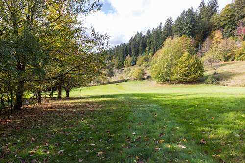 Foto - Haus zum Kaufen in Baden-Baden 1.190.000,00 € 600 m²