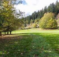 Haus zum Kaufen in Baden-Baden 1.190.000,00 € 600 m²