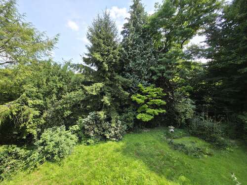 Foto - Wohnung zum Kaufen in Burscheid 338.000,00 € 128 m²