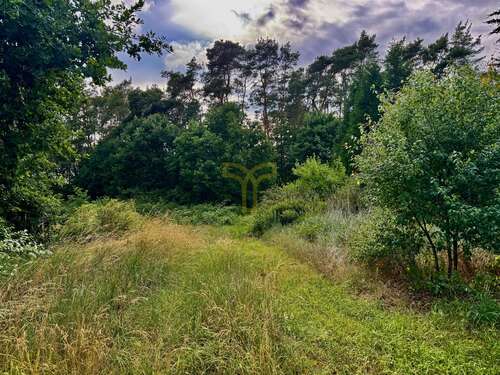 Foto - Grundstück zu verkaufen in Langlingen Hohnebostel 188.500,00 € 1885 m²
