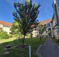 Wohnung zum Mieten in Dresden 578,05 € 59 m²
