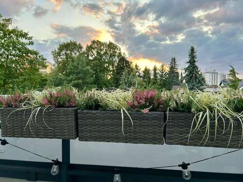 Foto - Wohnung zum Mieten in Maintal 1.620,00 € 106 m²