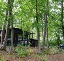 Haus zum Kaufen in Blankenheim 129.000,00 € 50 m²