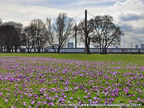 Foto - Haus zum Kaufen in Düsseldorf - Golzheim 12.000.000,00 € 800 m²