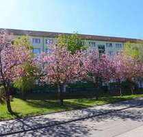 Wohnung zum Mieten in Limbach-Oberfrohna 335,00 € 56.77 m²