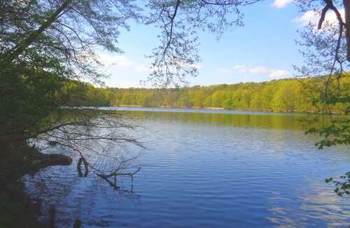 Foto - Haus zum Kaufen in Berlin 2.500.000,00 € 366 m²