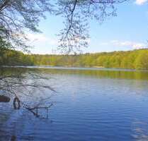 Haus zum Kaufen in Berlin 2.500.000,00 € 366 m²