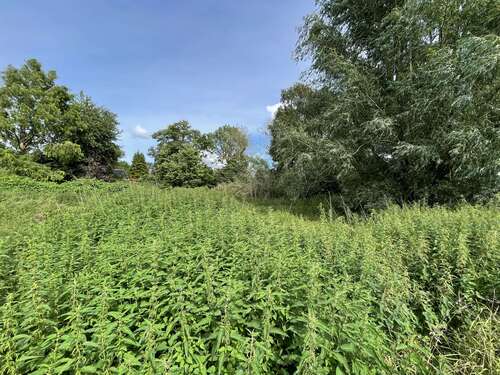 Foto - Haus zum Kaufen in Bösdorf OT Kleinmeinsdorf 199.000,00 € 42 m²