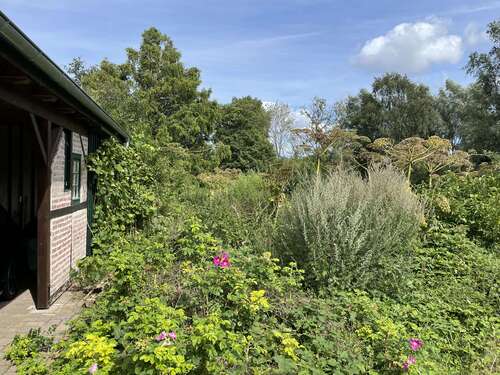 Foto - Haus zum Kaufen in Bösdorf OT Kleinmeinsdorf 274.500,00 € 51 m²