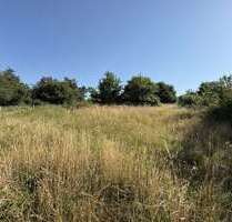Grundstück zu verkaufen in Kinderbeuern 88.000,00 € 1400 m²