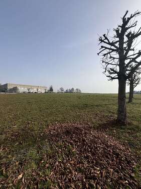 Foto - Grundstück in Bad Schussenried 850.000,00 € 7756 m²
