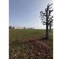 Grundstück in Bad Schussenried 850.000,00 € 7756 m²