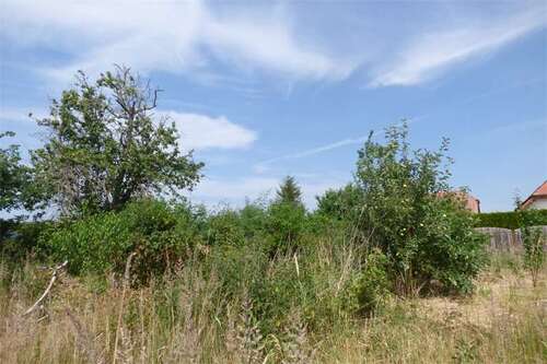 Foto - Grundstück zu verkaufen in Kloster Lehnin, OT Rietz 155.500,00 € 1232 m²