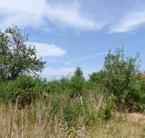 Grundstück zu verkaufen in Kloster Lehnin, OT Rietz 155.500,00 € 1232 m²