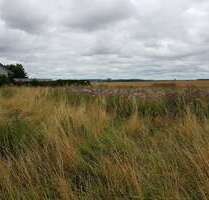 Grundstück zu verkaufen in Golm 58.000,00 € 2768 m²