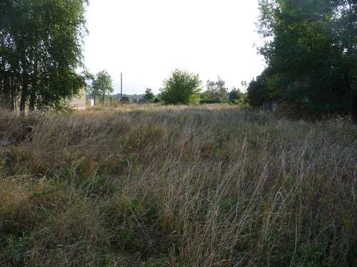 Foto - Grundstück zu verkaufen in Forst 7.000,00 € 500 m²