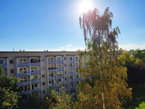 Foto - Wohnung zum Mieten in Chemnitz 213,00 € 39.32 m²