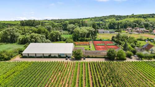 Foto - Grundstück zu verkaufen in Siebeldingen 980.000,00 € 12597 m²