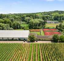 Halle in Siebeldingen 980.000,00 € 2500 m²