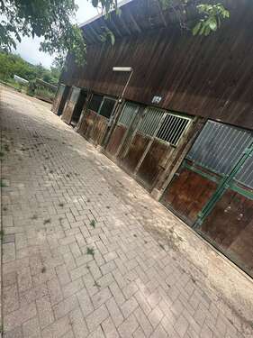 Foto - Grundstück zum Mieten in Olsbrücken 6.600,00 € 25000 m²