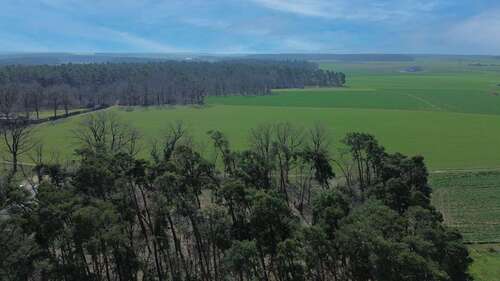 Foto - Haus zum Kaufen in Stein bei Nürnberg 697.000,00 € 154 m²